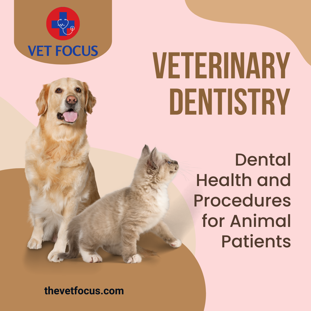 Veterinary Dentistry Dental Health and Procedures for Animal Patients