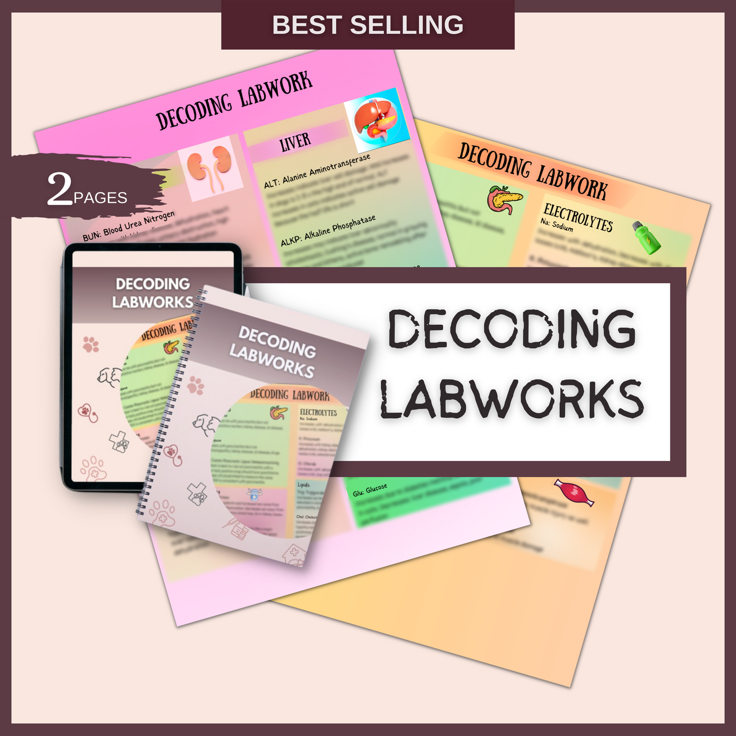 COMBINATION VETERINARY SURGERY AND PHARMACOLOGY BUNDLE | 55 Pages | 13 Topics