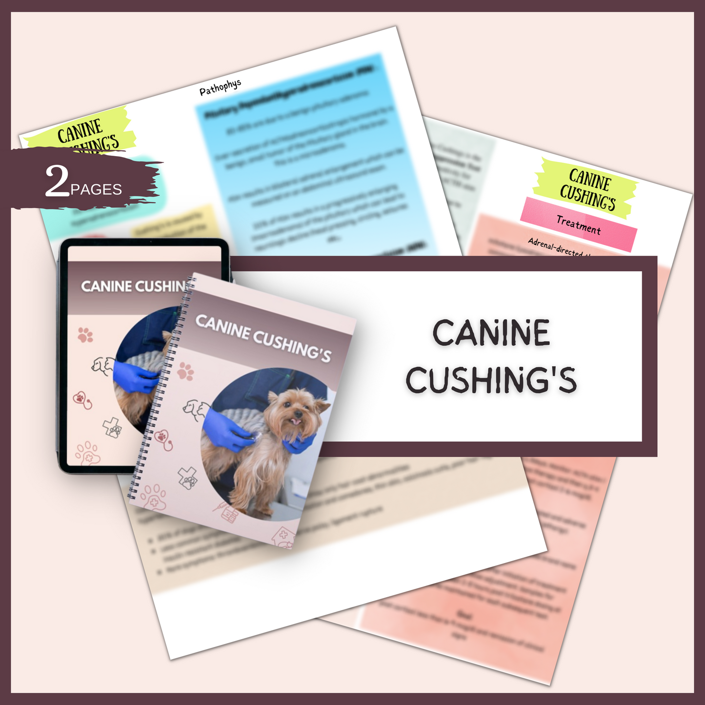 VET diseases and Conditions|57 Pages| 14Topics