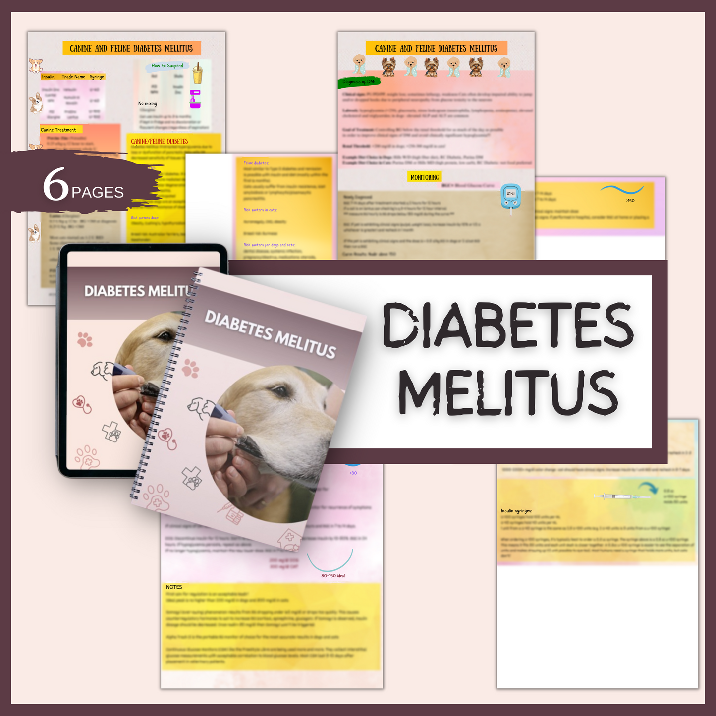 DIABETES MELITUS | 6 PAGES | 4 TOPICS