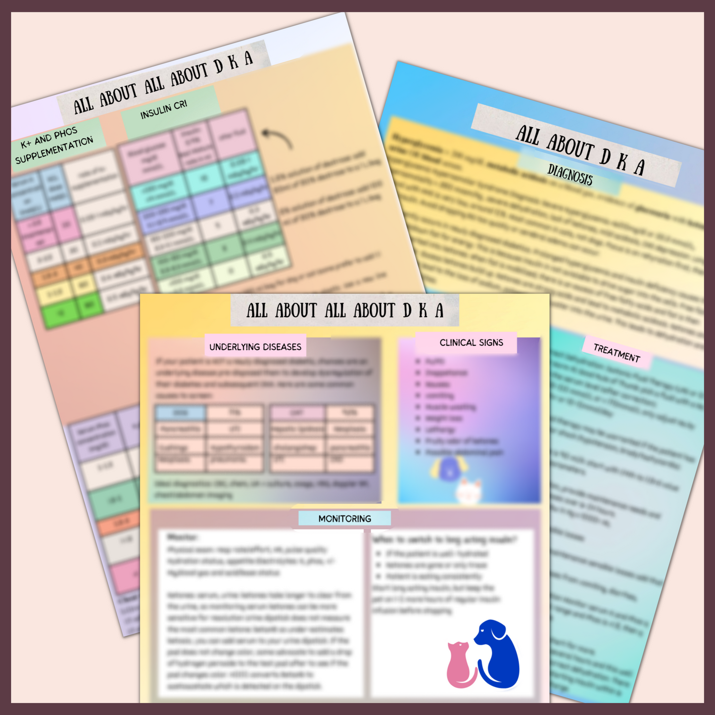 DKA| 3 PAGES|10Topics