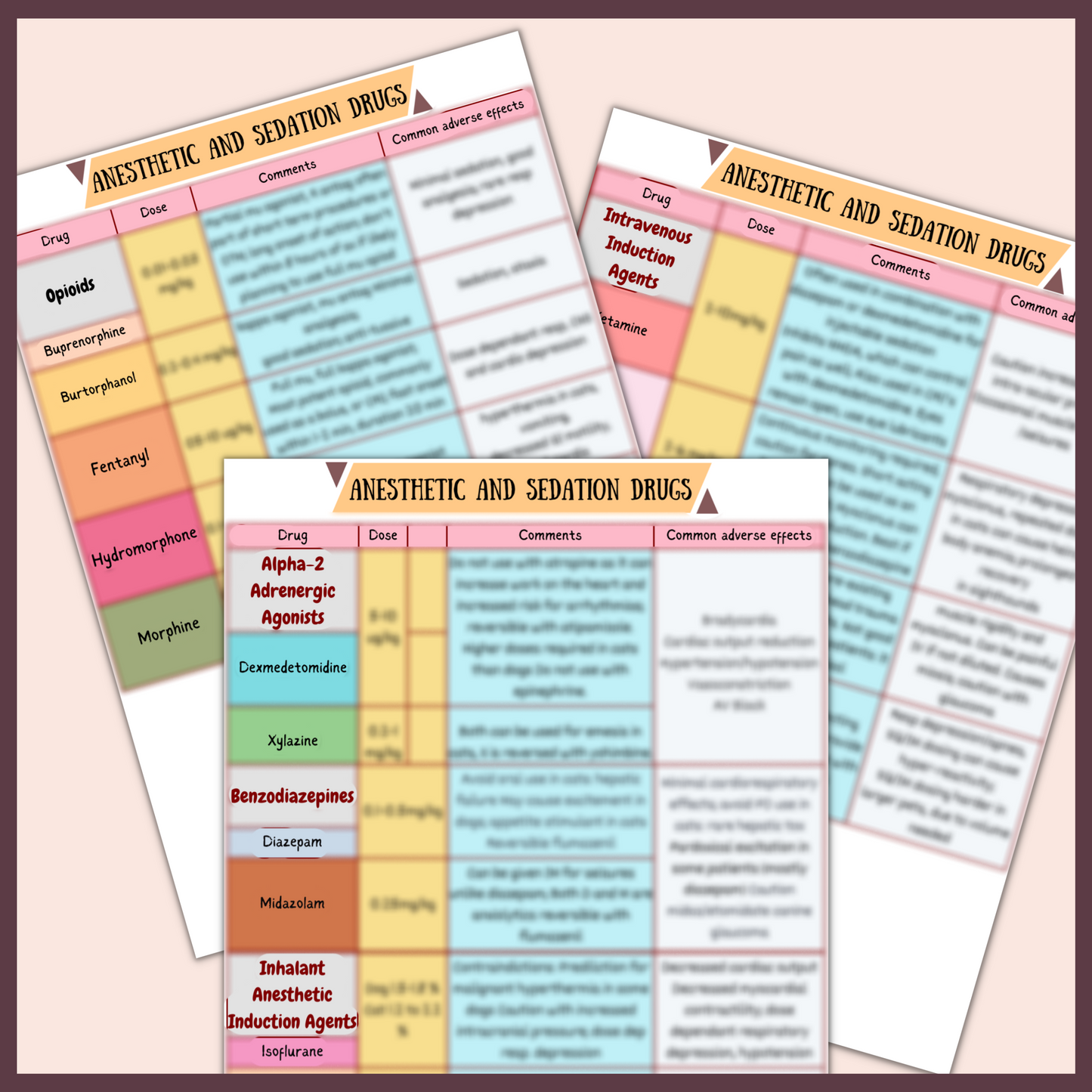 ANESTHETIC AND SEDATION DRUGS |3 PAGE |3 TOPICS