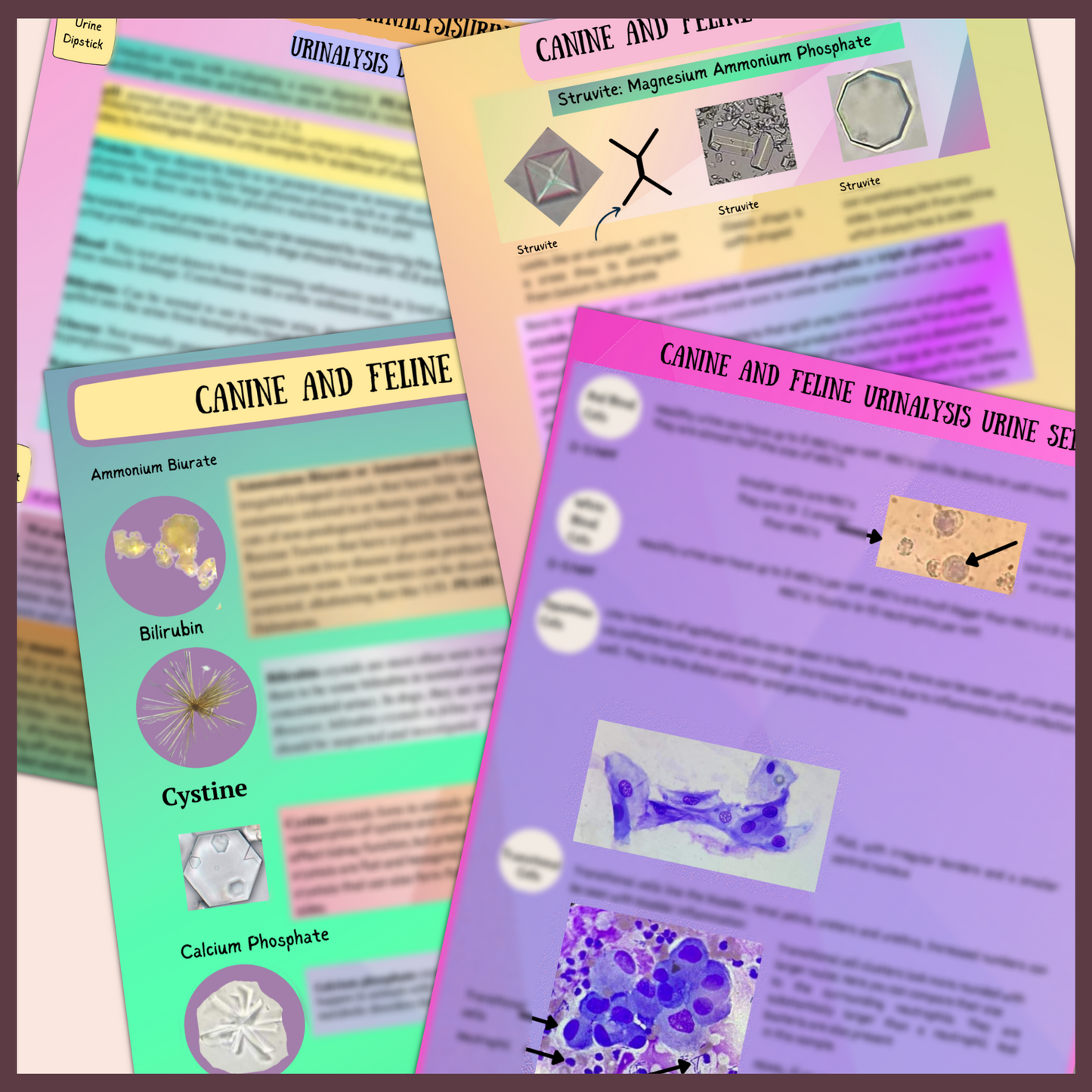 CANINE AND FELINE URINAILYSIS| 5 PAGES|4 TOPICS