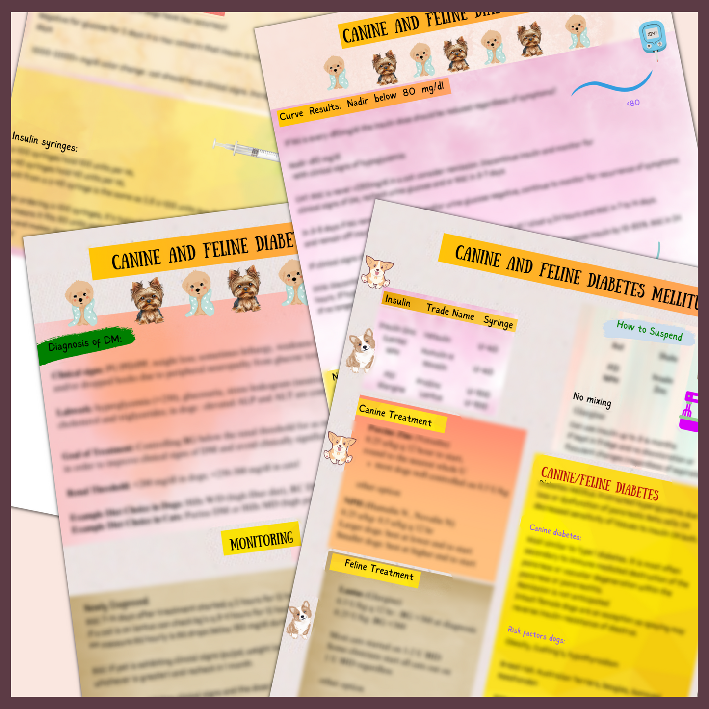 DIABETES MELITUS | 6 PAGES | 4 TOPICS