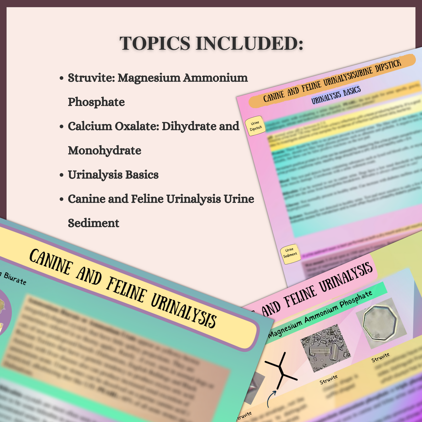 CANINE AND FELINE URINAILYSIS| 5 PAGES|4 TOPICS