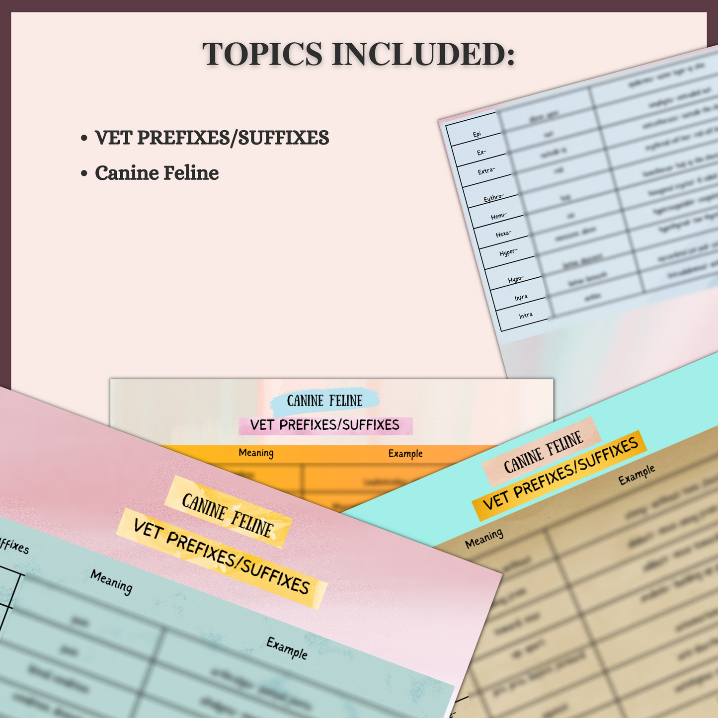 VET PREFIXES AND SUFFIXES | 6 PAGES | 2 TOPICS