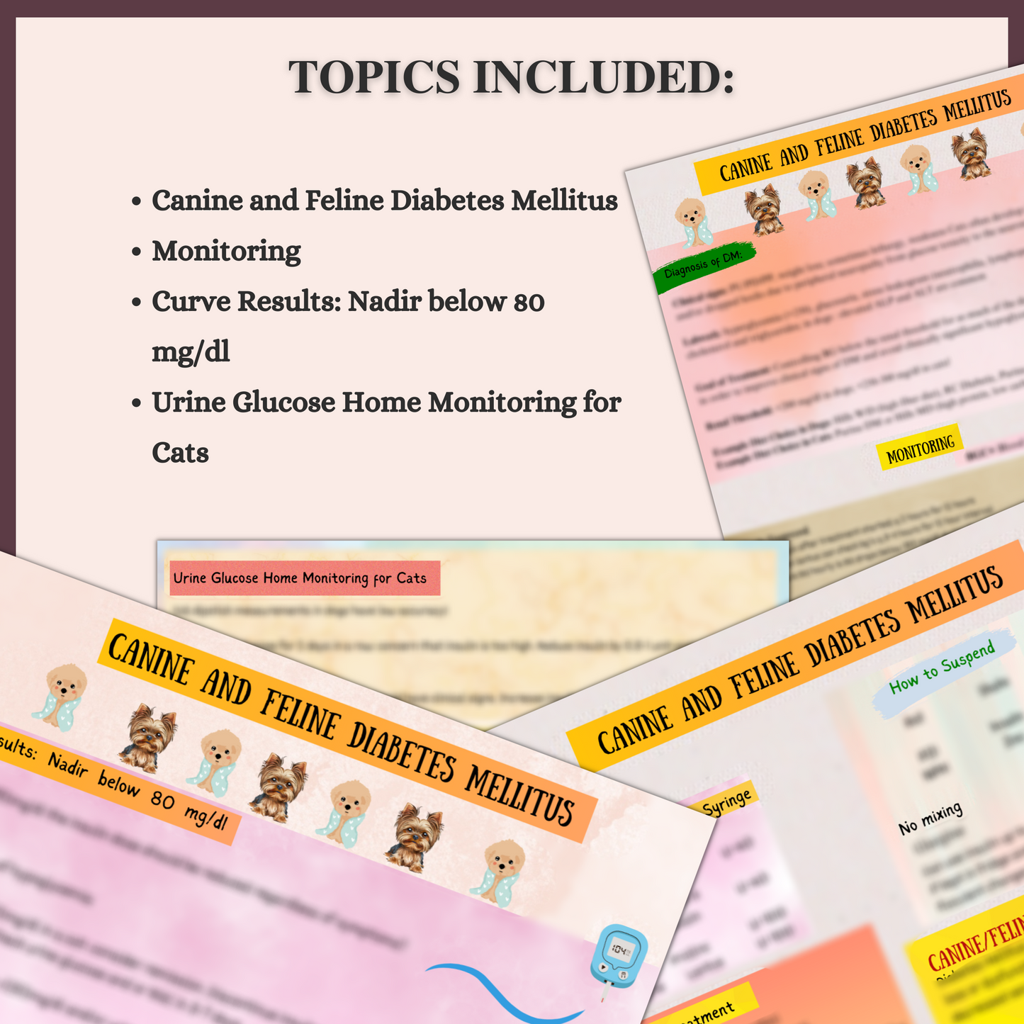 DIABETES MELITUS | 6 PAGES | 4 TOPICS