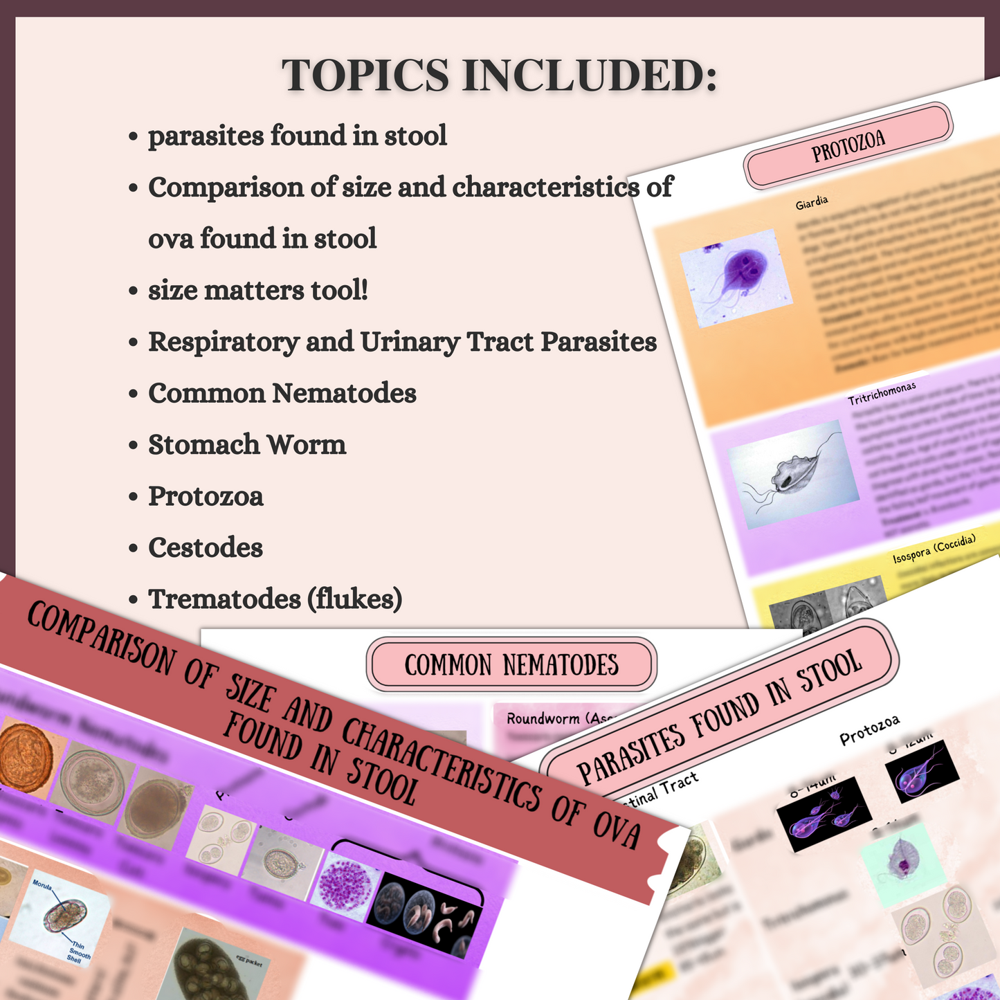 PARASITES FOUND IN STOOL | 14 PAGES | 9 TOPICS