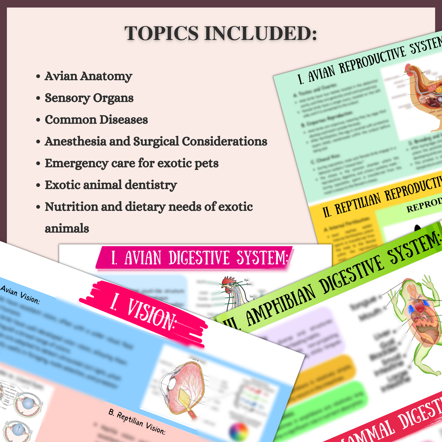 Exotic Animals & Birds | 48 Pages| 7 Topics