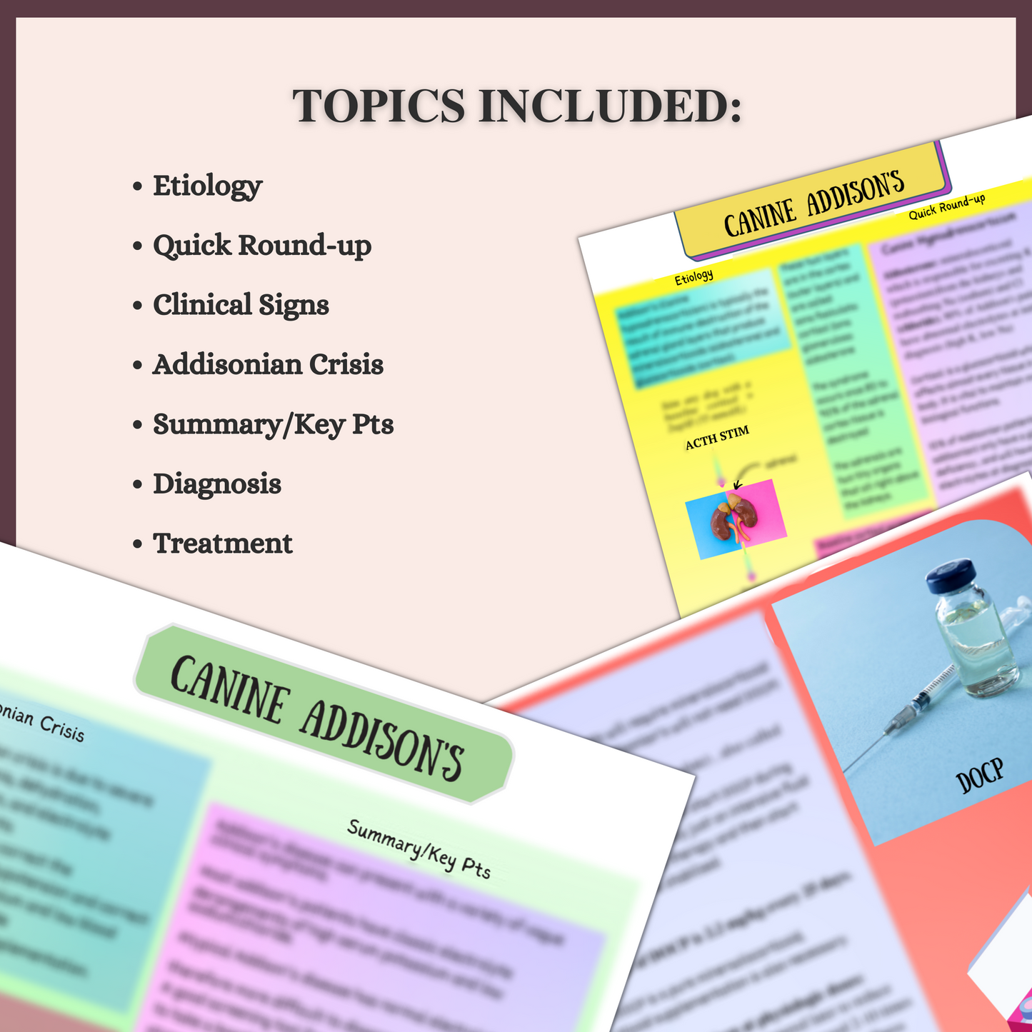 CANINE ADDISON’S| 3 PAGES|7 TOPICS