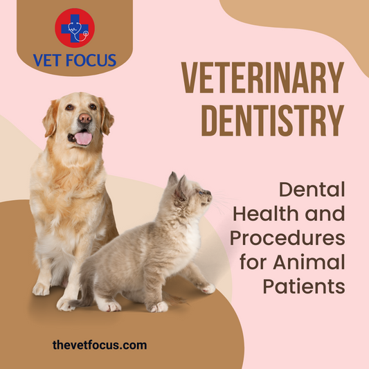 Veterinary Dentistry: Dental Health and Procedures for Animal Patients