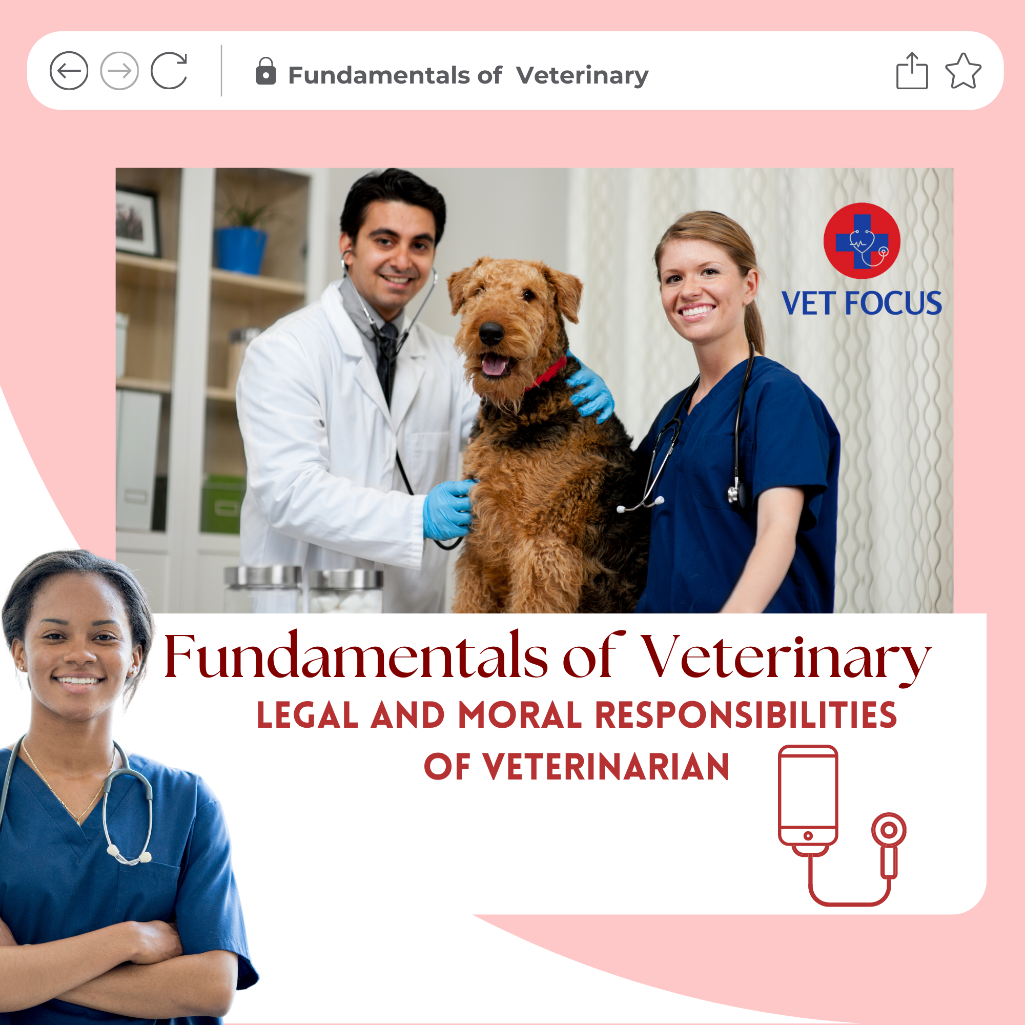 Fundamentals of Veterinary: Ethical Considerations in Veterinary Pract ...