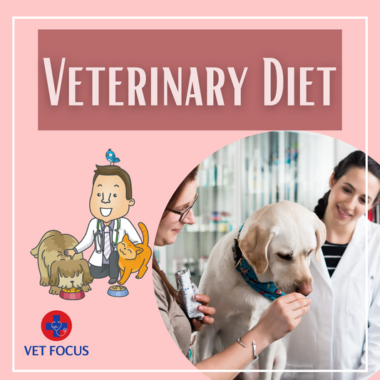 Veterinary Diet: Customized Nutrition