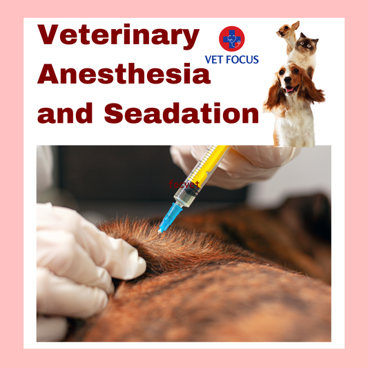 Veterinary Anesthesia and Sedation