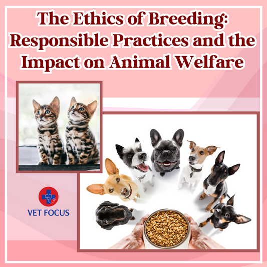 The Ethics of Breeding: Responsible Practices and the Impact on Animal Welfare