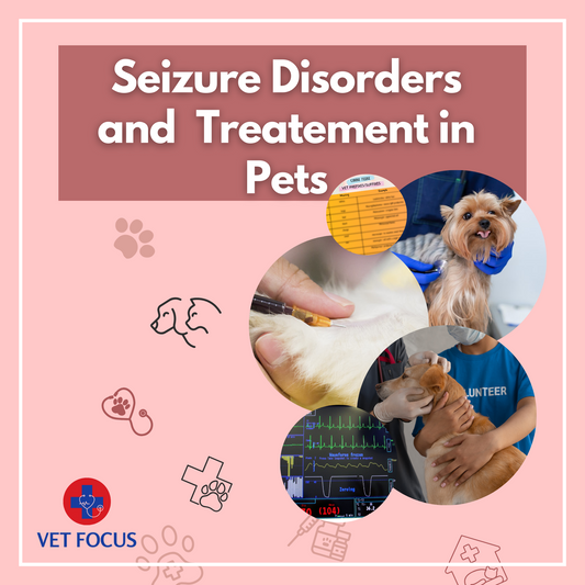 Seizure Disorders and Treatments in Pets