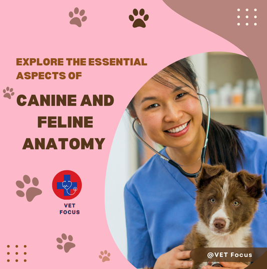 Exploring Canine and Feline Anatomy: Fundamental Concepts for  Vet Students