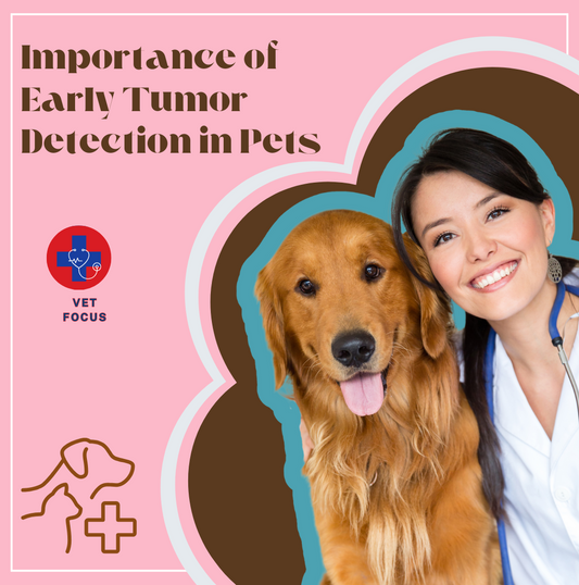 A Veterinary Student’s Guide to the Importance of Early Tumor Detection in Pets