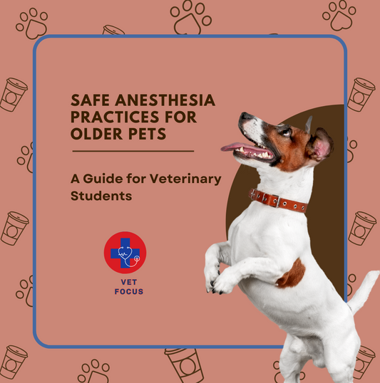 Safe Anesthesia Practices for Older Pets: A Guide for Veterinary Students