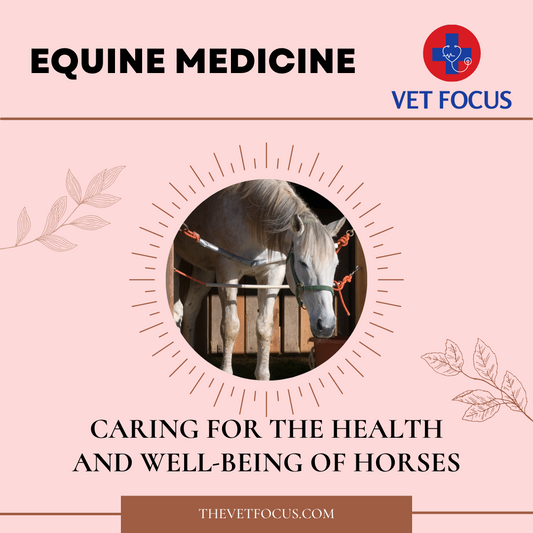 Equine Medicine: Caring for the Health and Well-being of Horses