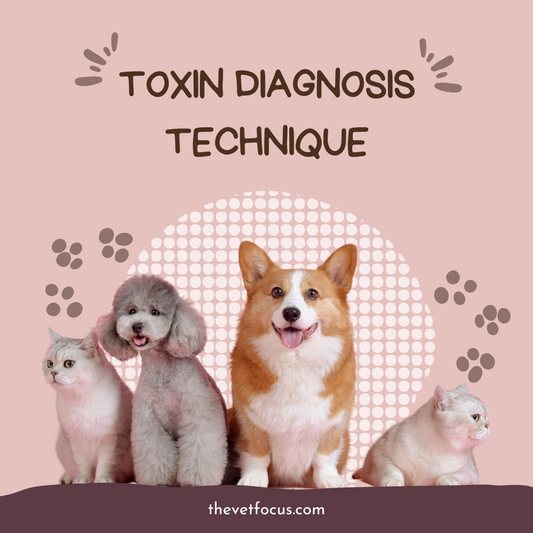 Top 5 Toxin Diagnosis Techniques Every Vet Student Must Learn