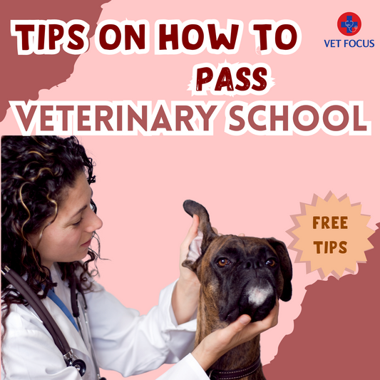 Tips on How to PASS Veterinary School