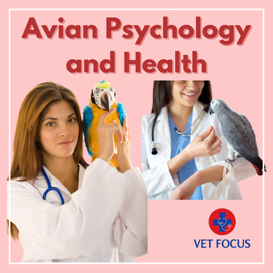 Avian Psychology and Health