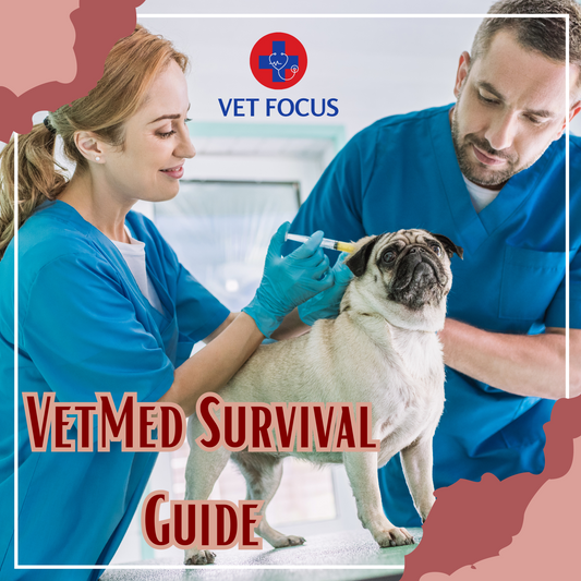 Veterinary School Journey: Your VetMed Survival Guide