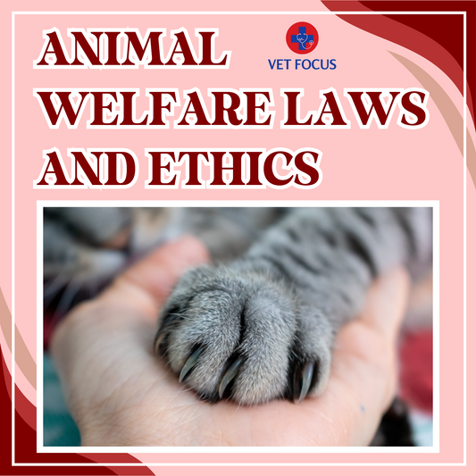 Animal Welfare Laws and Ethics: A Vet Student's Responsibility