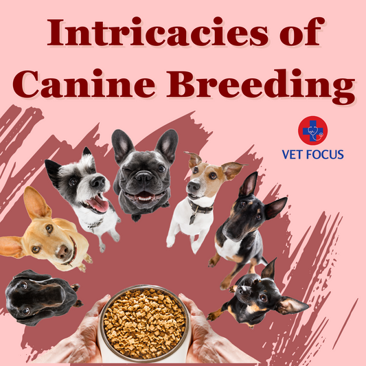 Intricacies of Canine Breeding