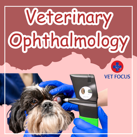 Veterinary Ophthalmology: A Clear Vision for Aspiring Veterinarians