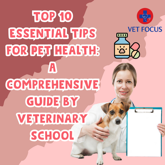 Top 10 Essential Tips for Pet Health: A Comprehensive Guide by Veterinarians