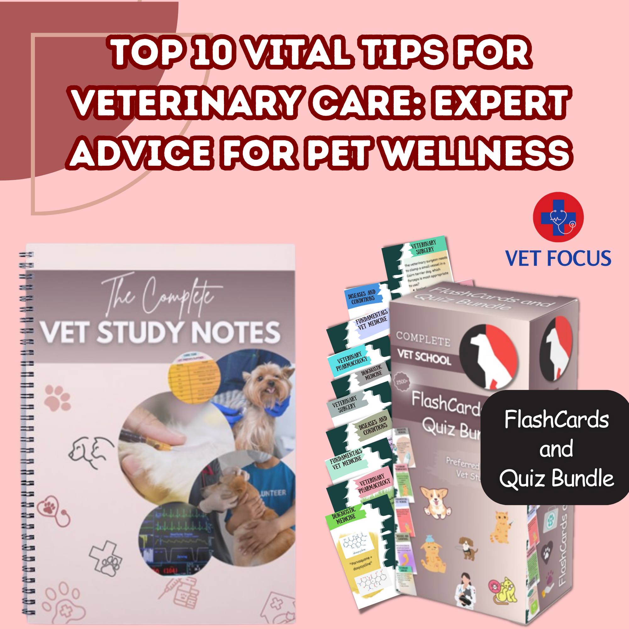 Top 10 Vital Tips for Veterinary Care: Expert Advice for Pet Wellness ...