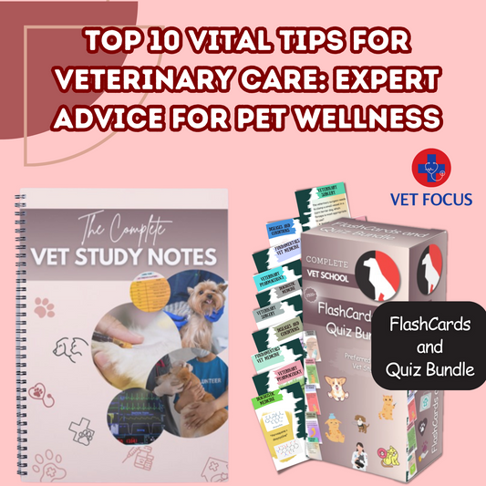 Top 10 Vital Tips for Veterinary Care: Expert Advice for Pet Wellness