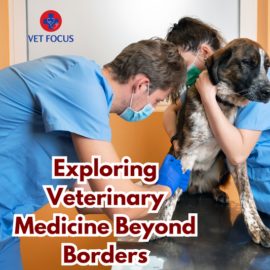 Veterinary Medicine Beyond Borders