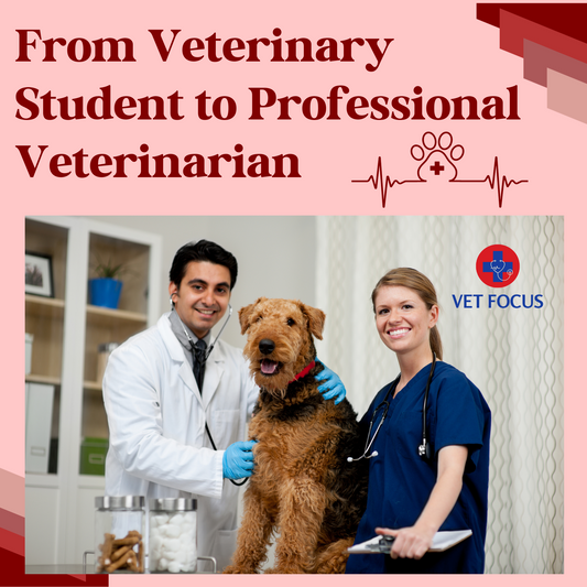From Veterinary Student to Professional Veterinarian
