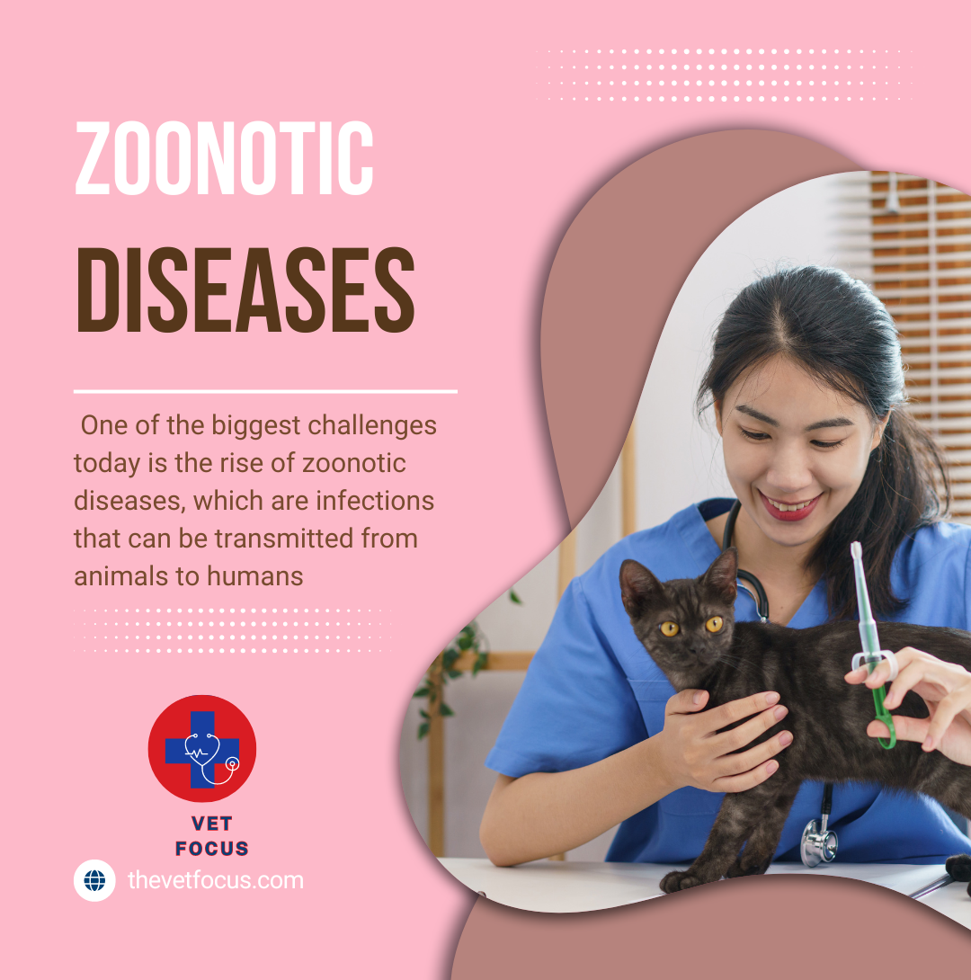 Veterinary Blog Emerging Zoonotic Diseases: What Every Vet Student Needs to Know – Vet ...