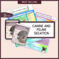 COMBINATION VETERINARY SURGERY AND PHARMACOLOGY BUNDLE  | 55 Pages | 13 Topics