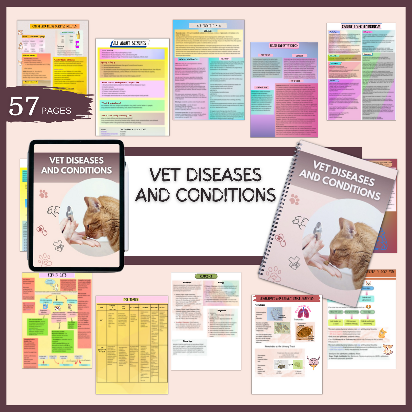 VET diseases and Conditions|57 Pages| 14Topics