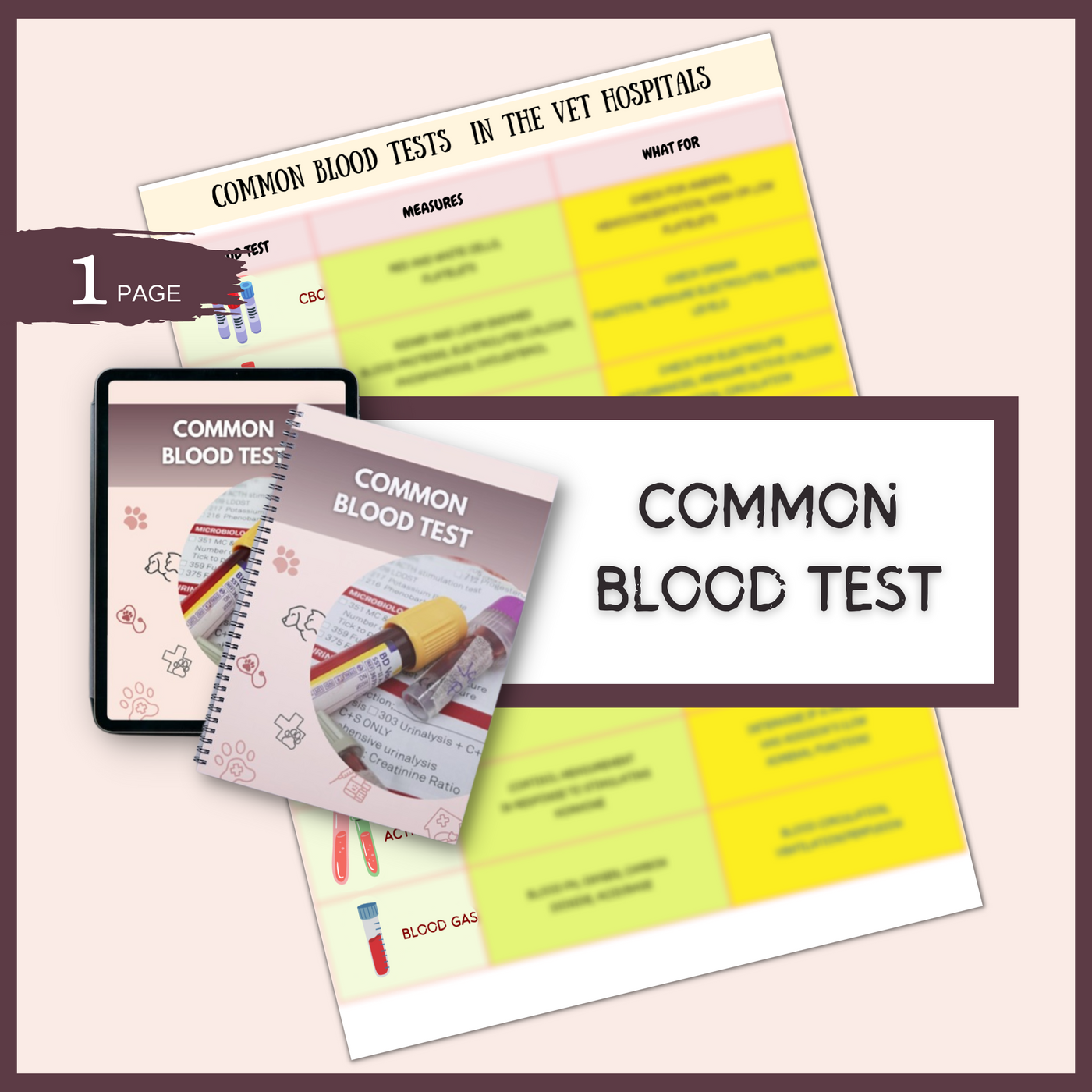 common-blood-tests-3-pages-1-topic-vet-focus