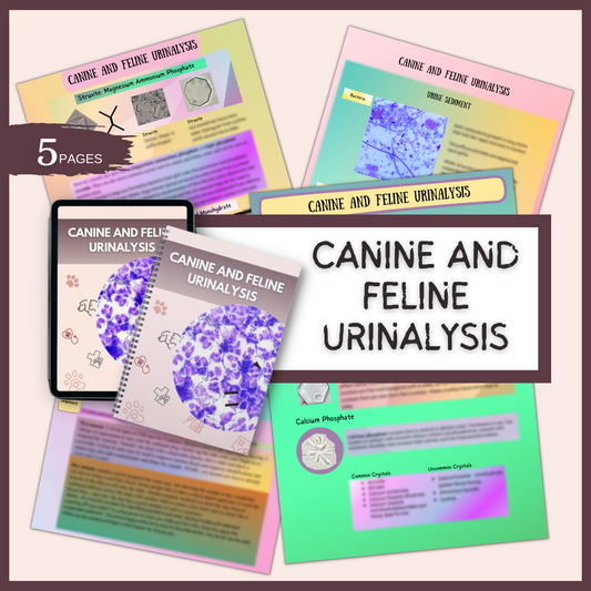 CANINE AND FELINE URINAILYSIS| 5 PAGES|4 TOPICS