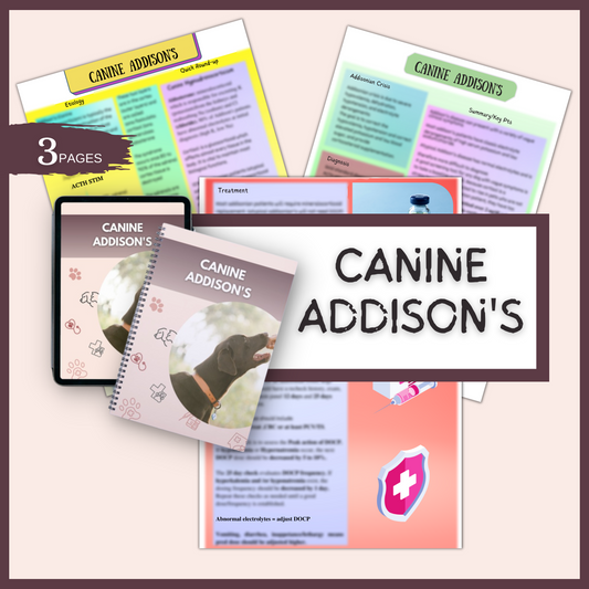 CANINE ADDISON’S| 3 PAGES|7 TOPICS