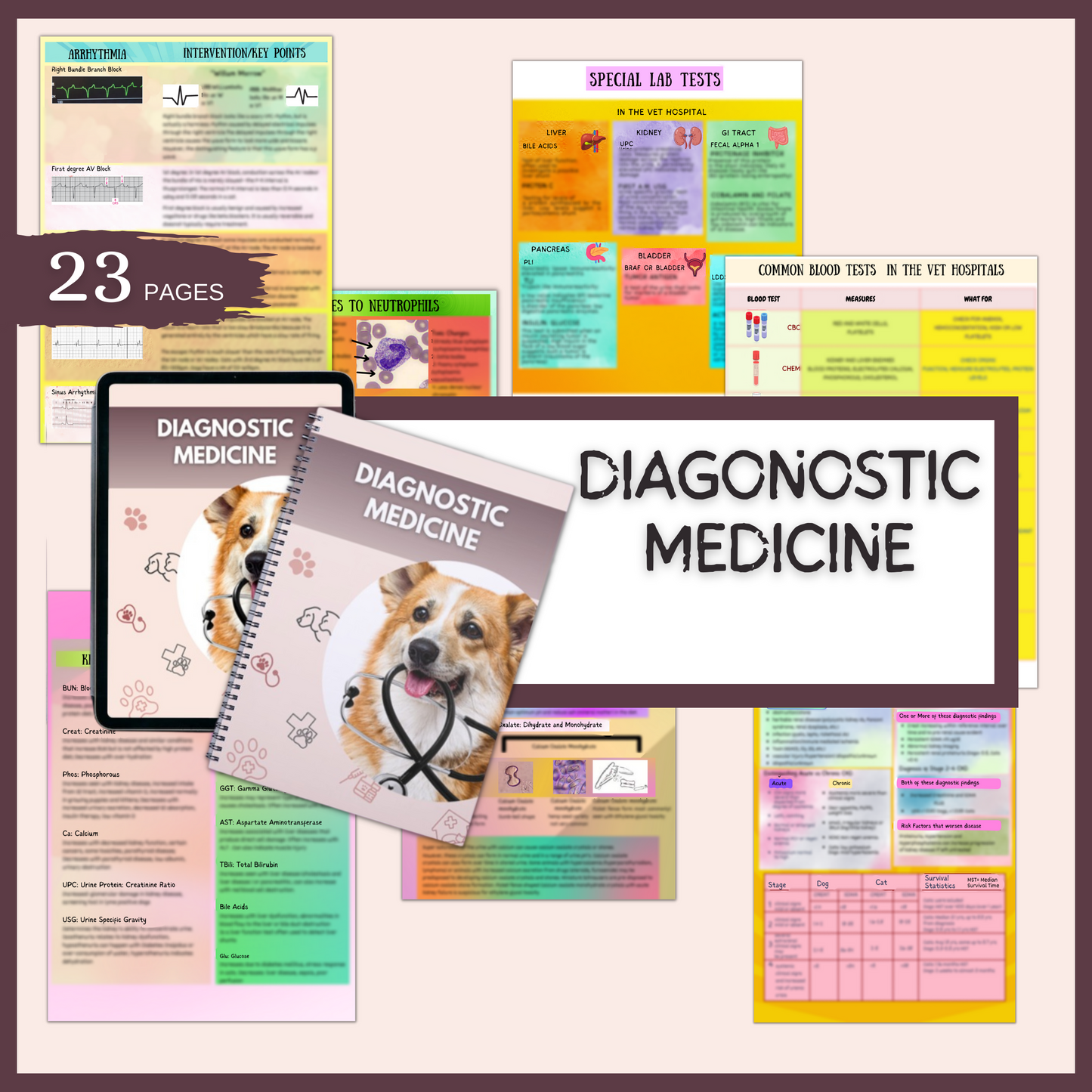 Diagonostic Medicine|23 Pages| 7 Topics