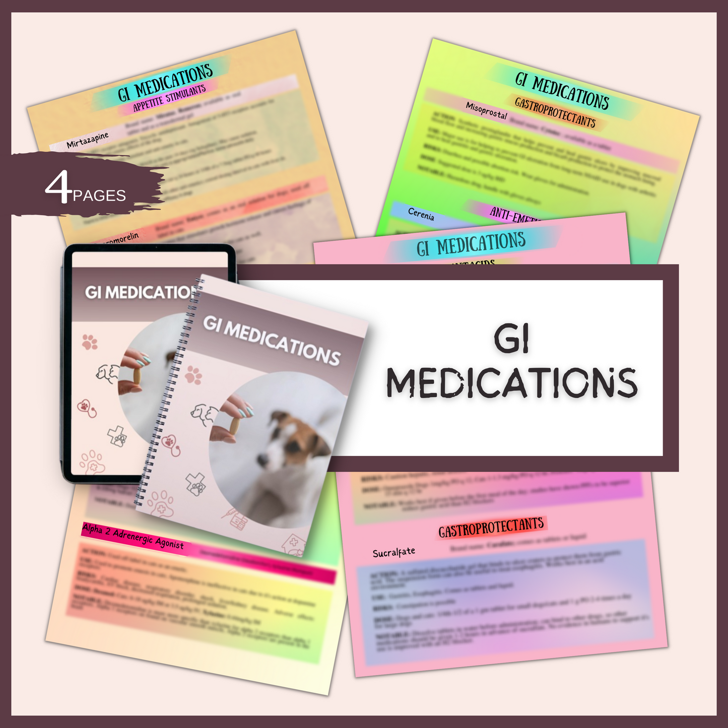 GI MEDICATIONS | 4 PAGES | 6 TOPICS