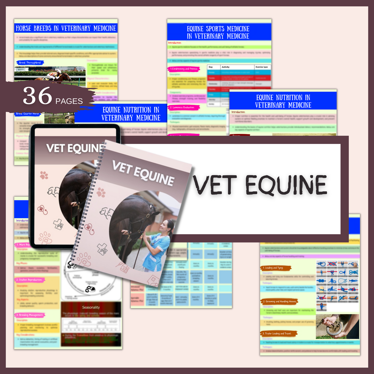 Equine Notes VET Equine | 36 Pages| 9 topics – Vet Focus