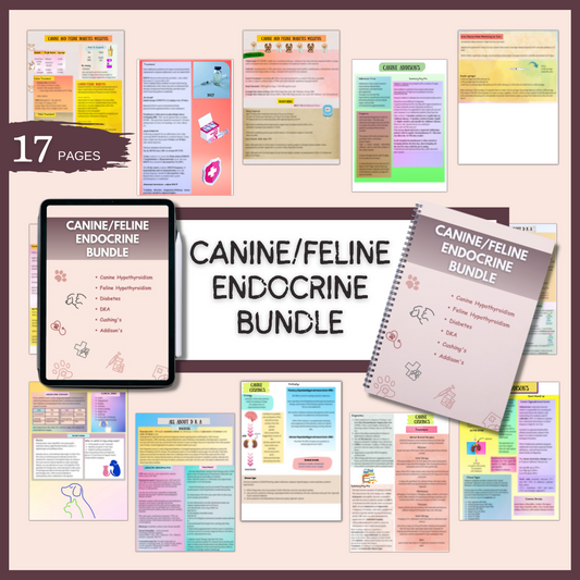 CANINE /FELINE ENDOCRINE BUNDLE | 17 Pages | 6 Topics