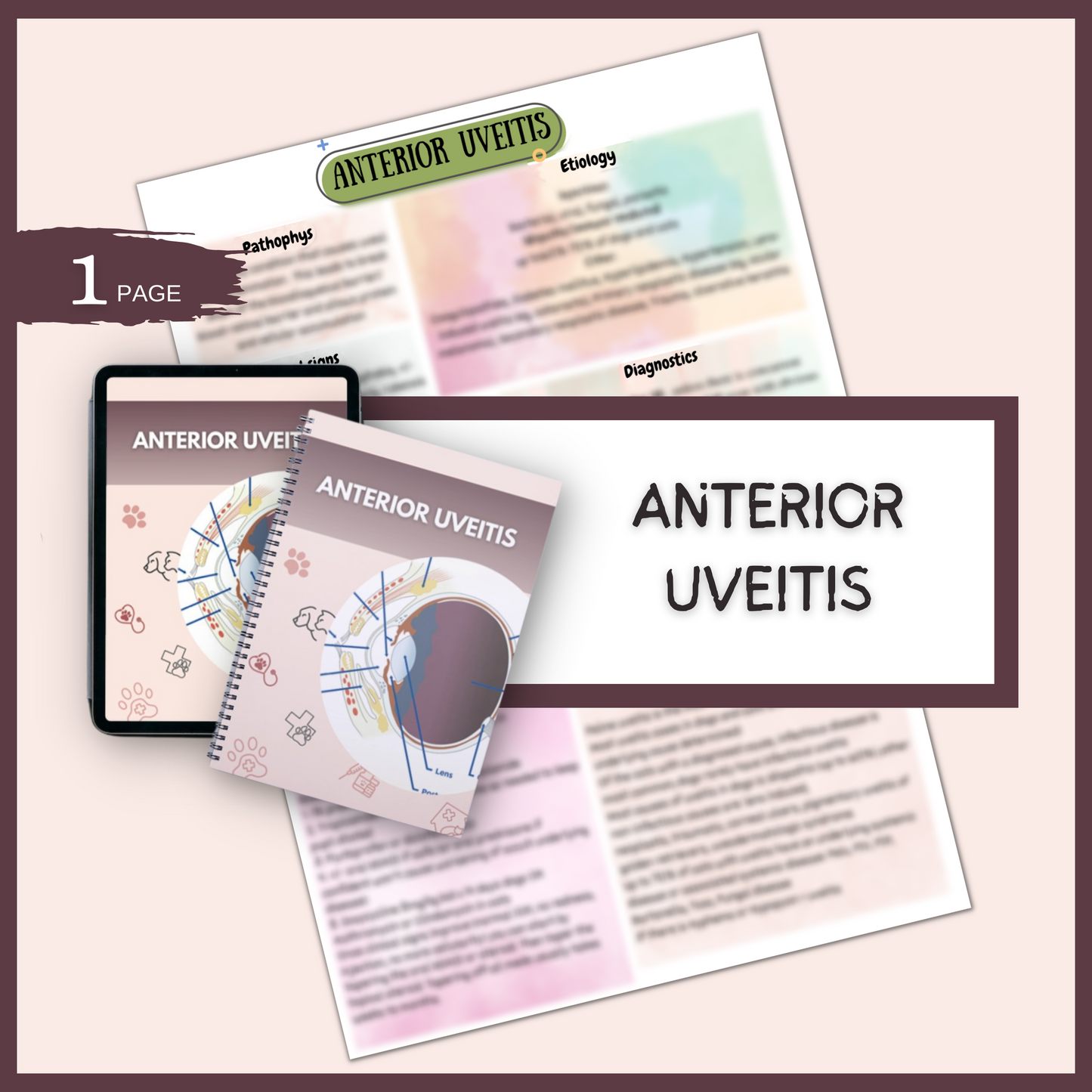 ANTERIOR UVEITIS| 1 PAGE| 6 TOPICS