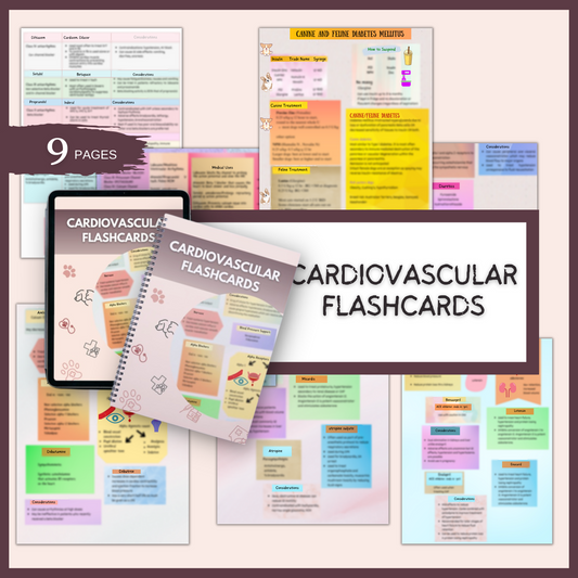 CARDIOVASCULAR FLASH CARDS | 9 PAGES| 1 TOPIC