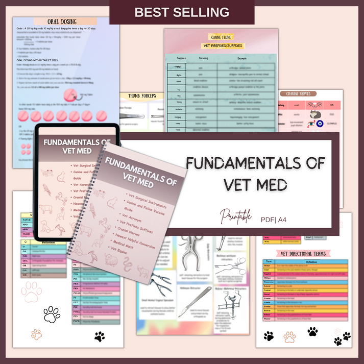 The Complete Vet School Bundle™ – Vet Focus