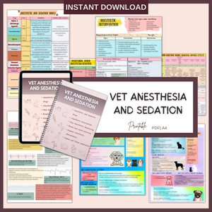 The Complete Vet School Bundle | Spiral + Digital